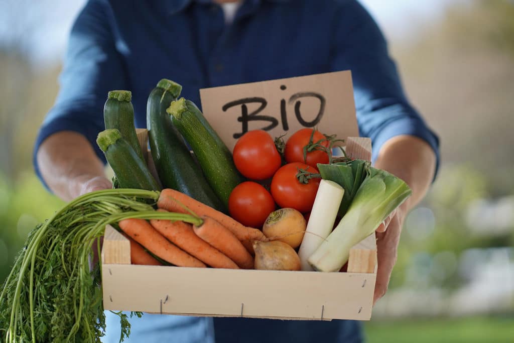 organic farming course