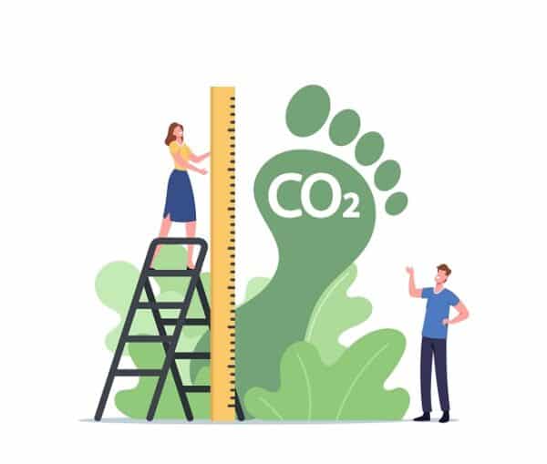 Taller la huella de carbono: "¿Qué huellas dejamos en nuestro planeta?"